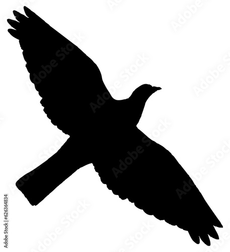Oiseau en vol ailes ouvertes, vecteur noir