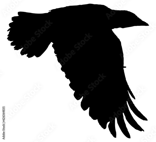 Oiseau en vol, vecteur noir