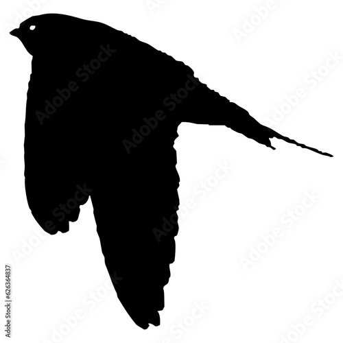 Hirondelle hirondo rustica et hirondelle de fenêtre en plein vol dans le ciel, vecteur noir fond transparent