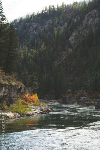 portrait of snake river in Wyoming