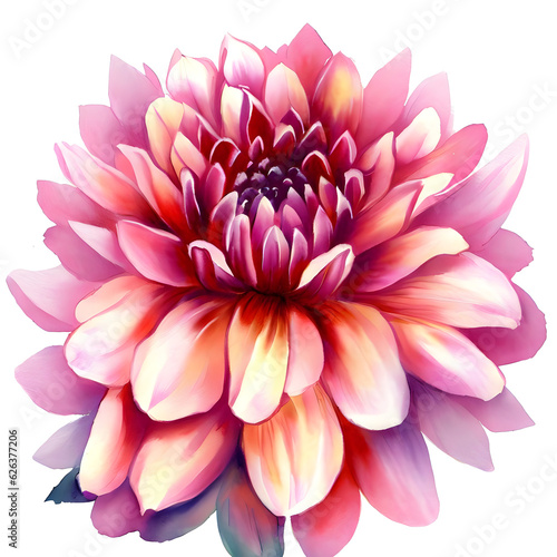 watercolor dahlia flower. Illustration isolated on white background for design,print or background Generative AI