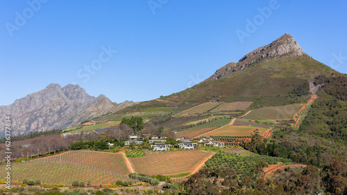 Wine Grape Vineyards Mountains Blue sky  Scenic Landscape photo