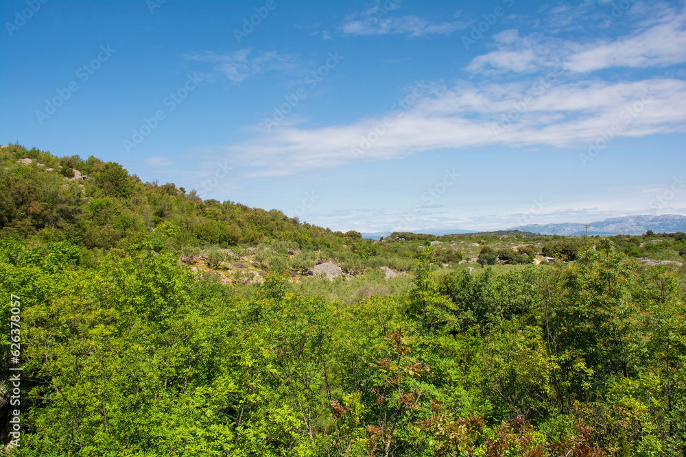 The spring landscape near Nerezisca on Brac Island in Croatia in May, showing the island's characteristic stone mounds and walls