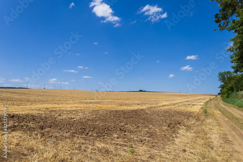Summer landscape. Stubble in the field where the grain is harvested.