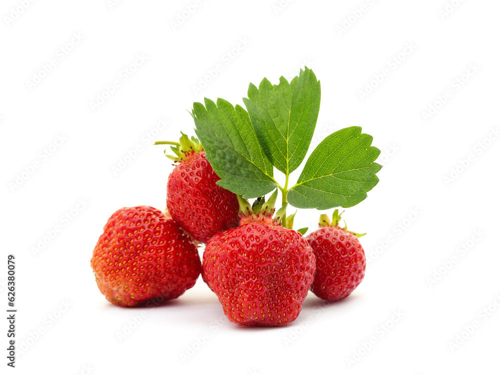 Ripe strawberries with leaves. Ripe strawberries with leaves.