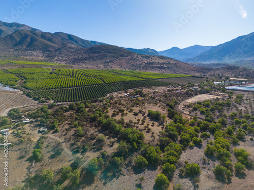 Aerial view of citriculture in Petorca in Chile, South America - plantation of citrus fruits photo