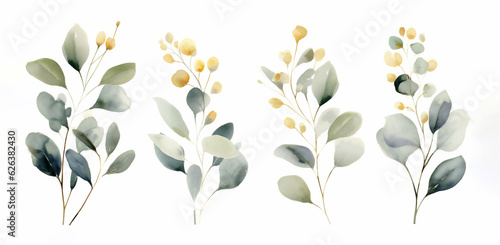 Watercolor green eucalyptus and golden plants set on white background, ai generated 