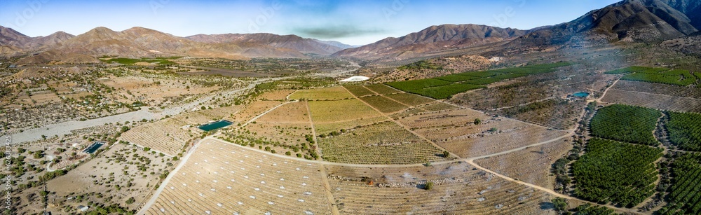 Aerial view of citriculture in Petorca in Chile, South America - plantation of citrus fruits - Panorama