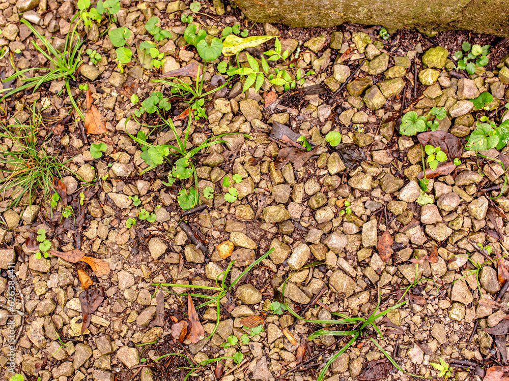 Small pebbles and stones on the ground, background or texture. Small pebbles and stones on the ground, background or texture.