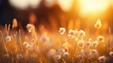 a field of tall grass with the sun in the background.  generative ai