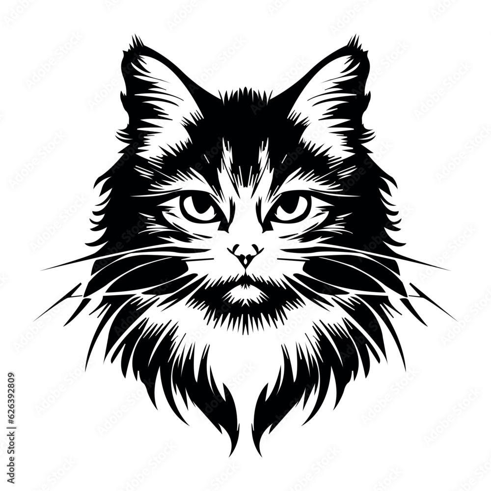 The muzzle of a black cat. Stylish vector drawing. Black and white The muzzle of a black cat. Stylish vector drawing. Black and white