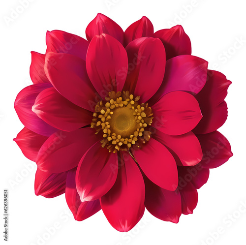 flower isolated on transparent background  extracted  png file