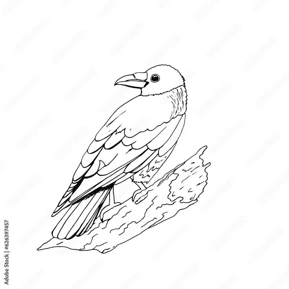 Obraz premium Vector illustration of a crow bird sitting on a branch. A sketch in the style of doodles.