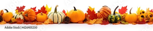Foto Autumn leaves and gourds, pumpkins patch on white background banner