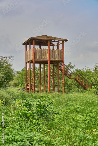 Watch tower in a forest