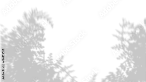 Shadow Plant leaf palm