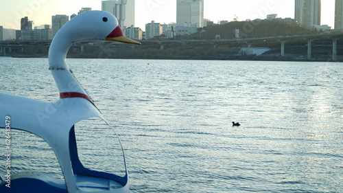 Photography Duck boat and ducks floating on the river in Ttukseom, Seoul, South Korea