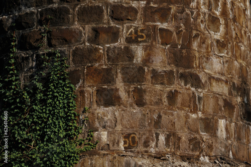 Wallpaper Mural 鉄道の橋脚に付いた蔦 Torontodigital.ca