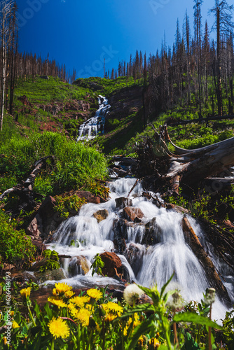 Waterfall in the San Juan mountains in western Colorado! (ID: 626414893)