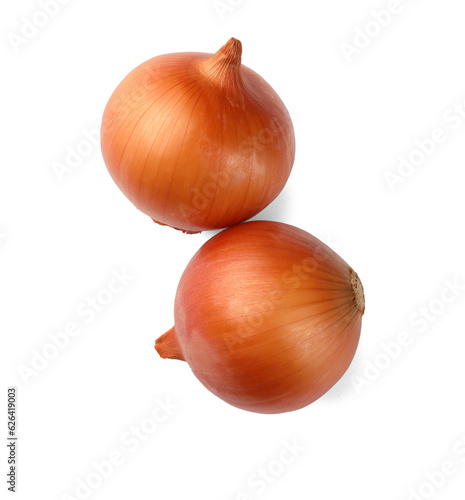 Two fresh onions on white background, top view