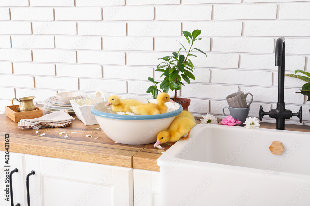 Fototapeta premium Bowl with water and cute ducklings in kitchen