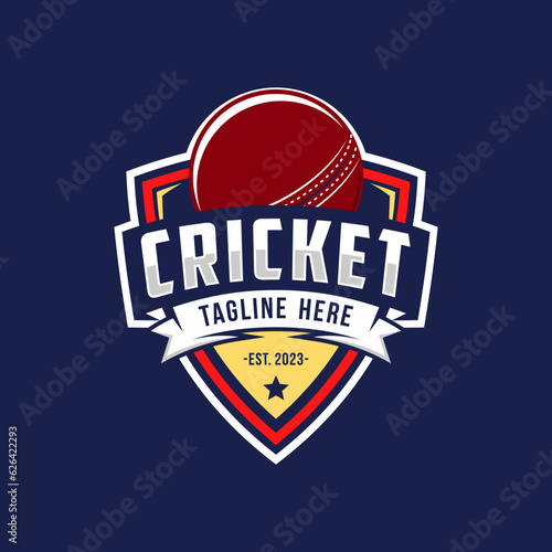 Logo for cricket sport team, competition badge and label, vector illustration