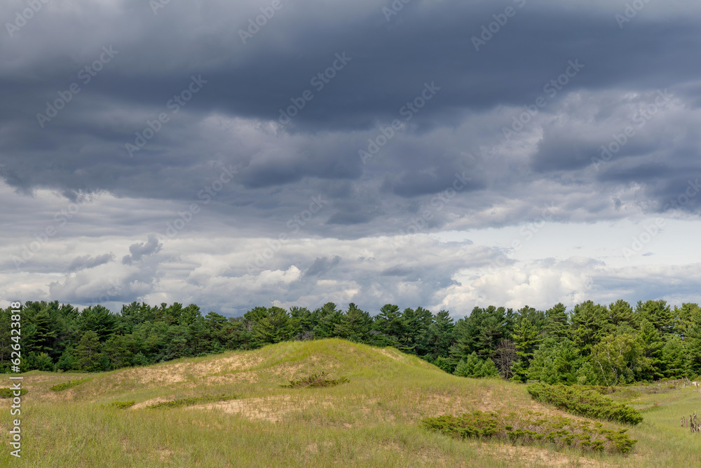 Ominous sky over grassy dune with evergreen trees in summer