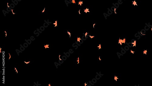 autumn leaves. Small leaves fall off. Animation material with a transparent background.