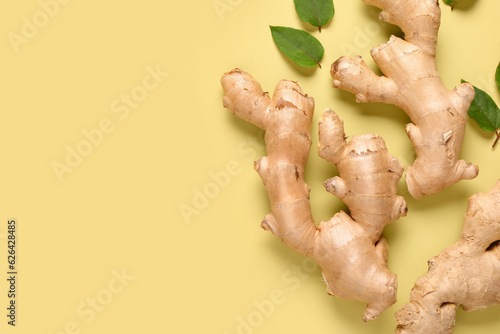 Fresh ginger roots and leaves on yellow background