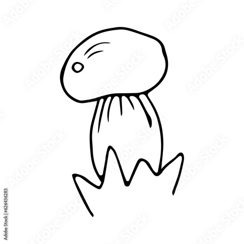 Forest mushroom in hand drawn style on an isolated white background.Element for autumn decoration.