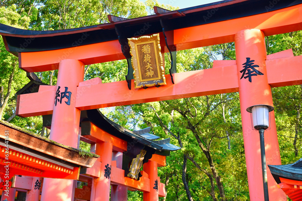京都 伏見稲荷大社　美しい朱色の鳥居（京都府京都市） Kyoto Fushimi Inari Taisha Shrine famous for beautiful vermilion torii gates (Kyoto City, Kyoto Prefecture, Japan)