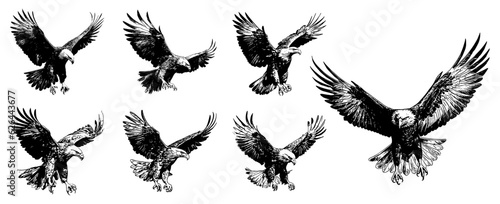 set of silhouettes of eagles flying. sketch style vector. isolated background
