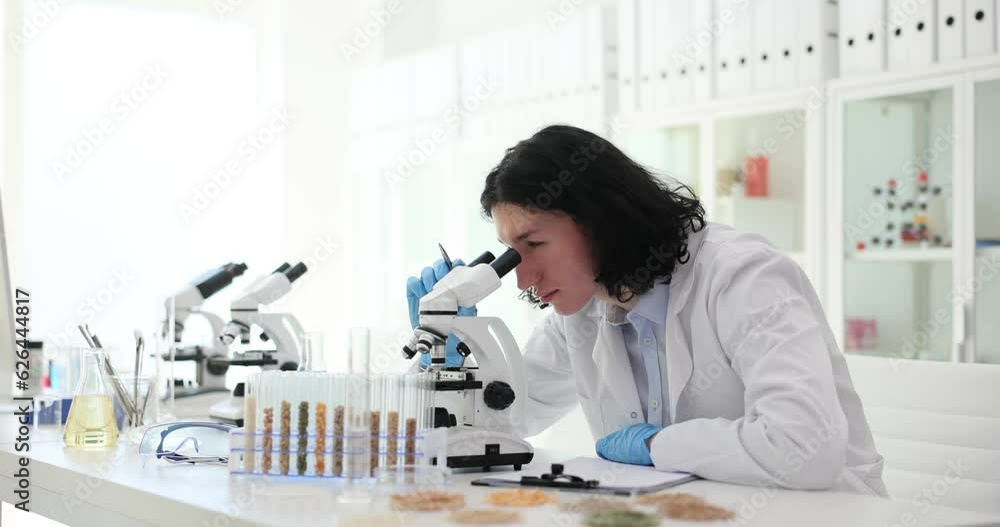Checking quality of seeds of agricultural crops and cereals. Allergy to grains and legumes Checking quality of seeds of agricultural crops and cereals. Allergy to grains and legumes