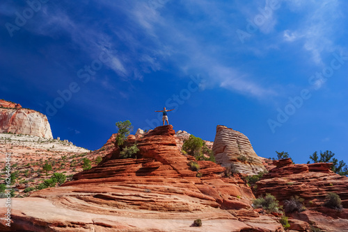 Man standing on top of layered cross beds of aeolian Navajo sandstone rock formations on Zion National Park Canyon Overlook hiking trail, Utah, USA. Scenic view of unique slickrock landscape. Freedom