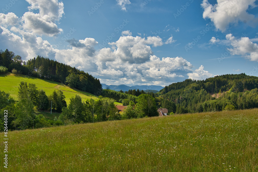 Landschaft bei Biederbach im mittleren Schwarzwald