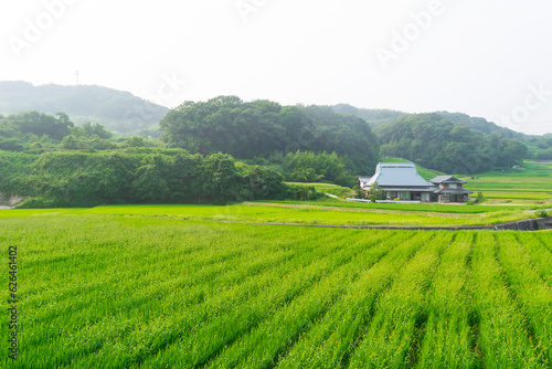 里山の田園風景
