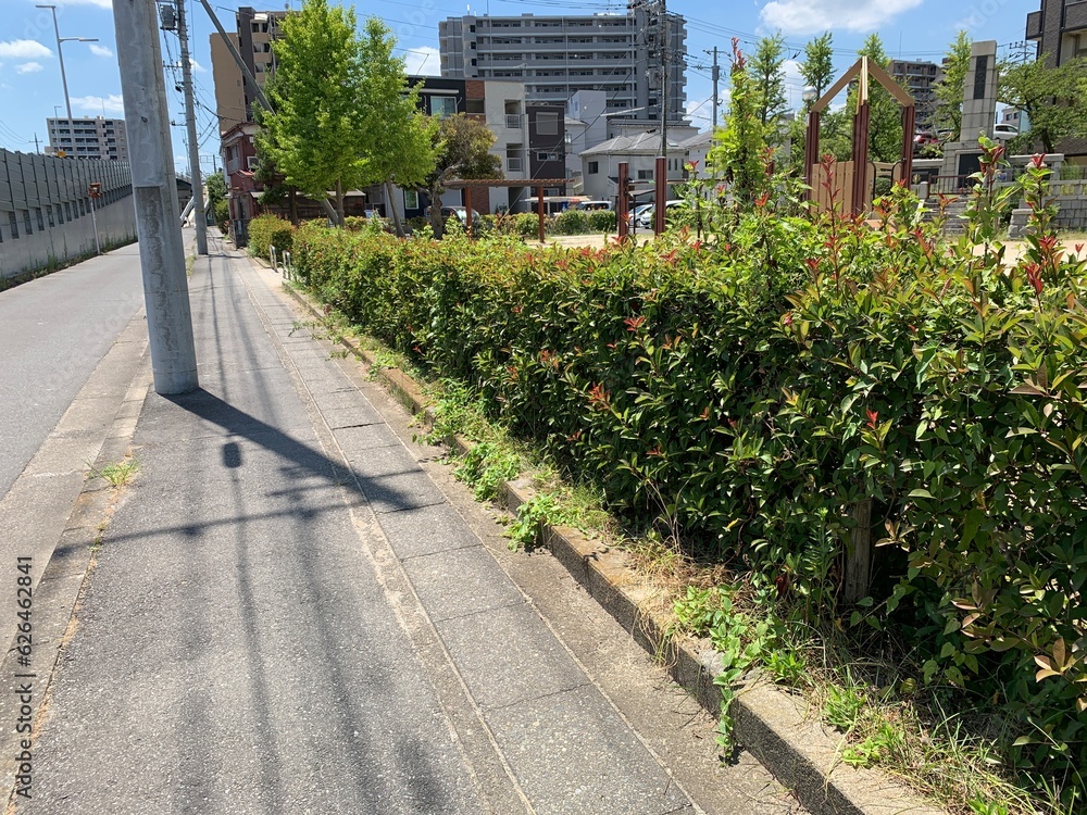 春日部市内の住宅街の景色