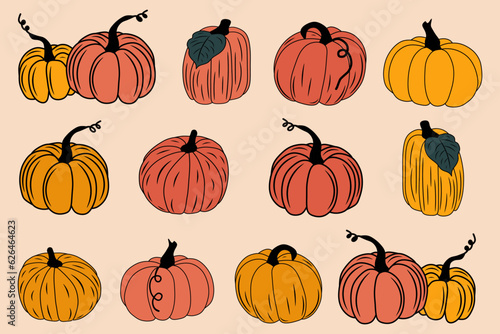 set of autumn yellow and orange pumpkins  bright vector illustration  set of pumpkins