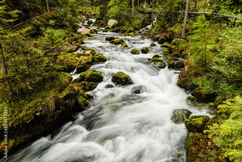 rushing water from a torrent with large rocks through a green forest