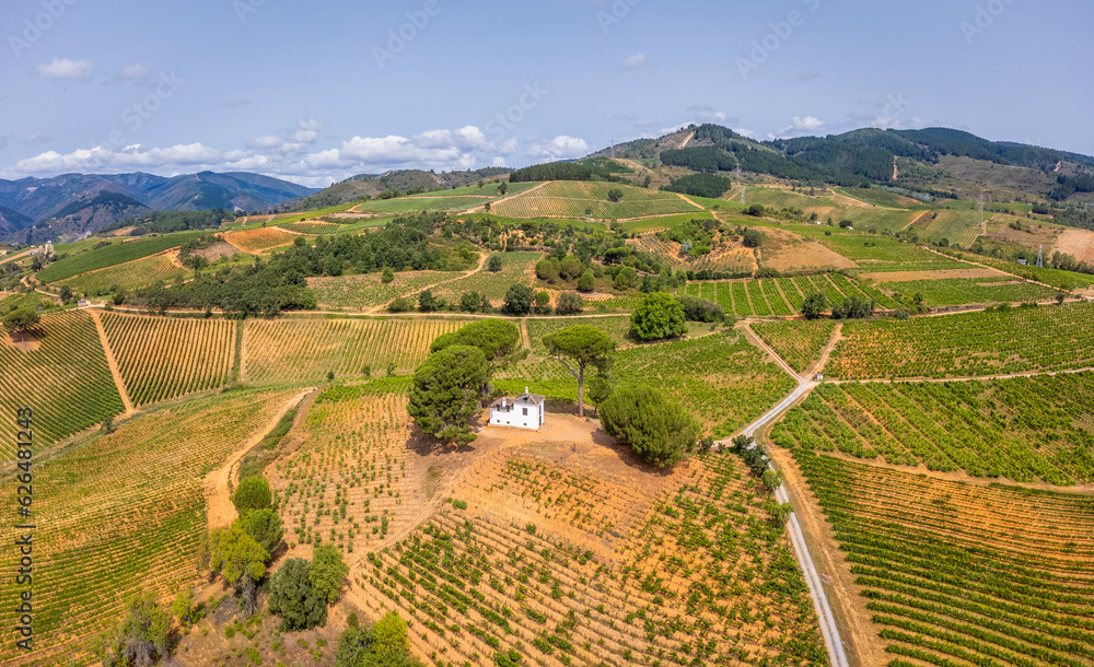 A Bird's-Eye Perspective: Summer Splendor in Villafranca del Bierzo with Vineyards and Countryside, Spain