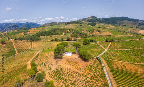 Obraz na płótnie A Bird's-Eye Perspective: Summer Splendor in Villafranca del Bierzo with Vineyards and Countryside, Spain w salonie