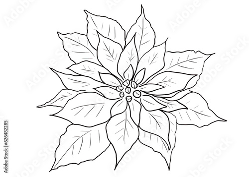 シンプルな線で描かれたポインセチアのイラスト