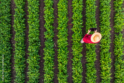Foto Top view of farmer walking through soybean field and operating agricultural drone