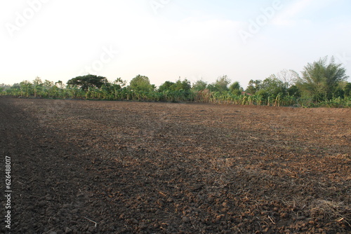 Fotografia plowed field in autumn