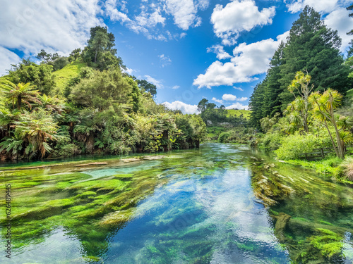 The Blue Spring area of the Waihou River in the Waikato Region of the North Island of New Zealand