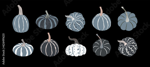 Cute hand drawn monochrome pumkins set. Dark theme Hallowen pumpkin elements. Mystic garden vegetable vector illustration.
