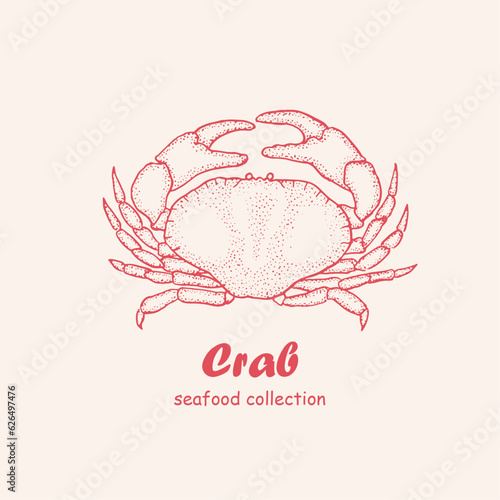 Seafood, crab,  logo, doodle, line art ,seafood illustration , crustacean , crabs , crustaceans, seafood , crawfish, watercolor, food illustrations