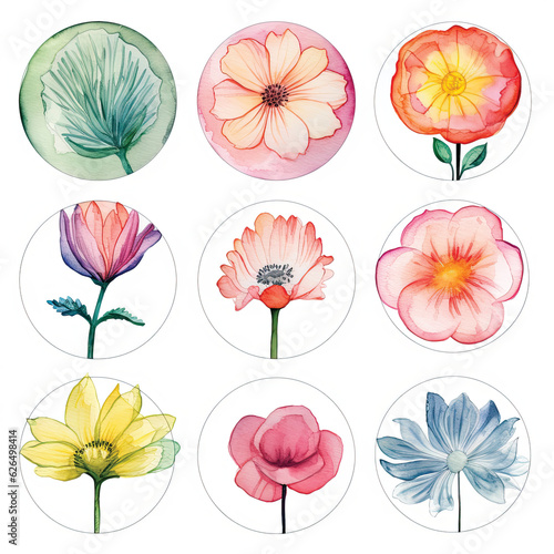 Set of circle shapes  Clip art flowers only in circle  watercolor  clipart flower style