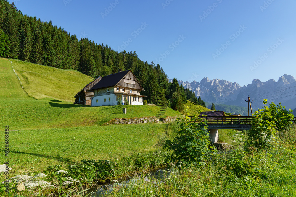 Sommer im alzkammergut in Österreich