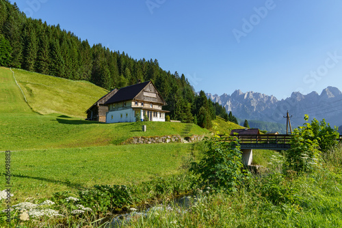 Sommer im alzkammergut in Österreich